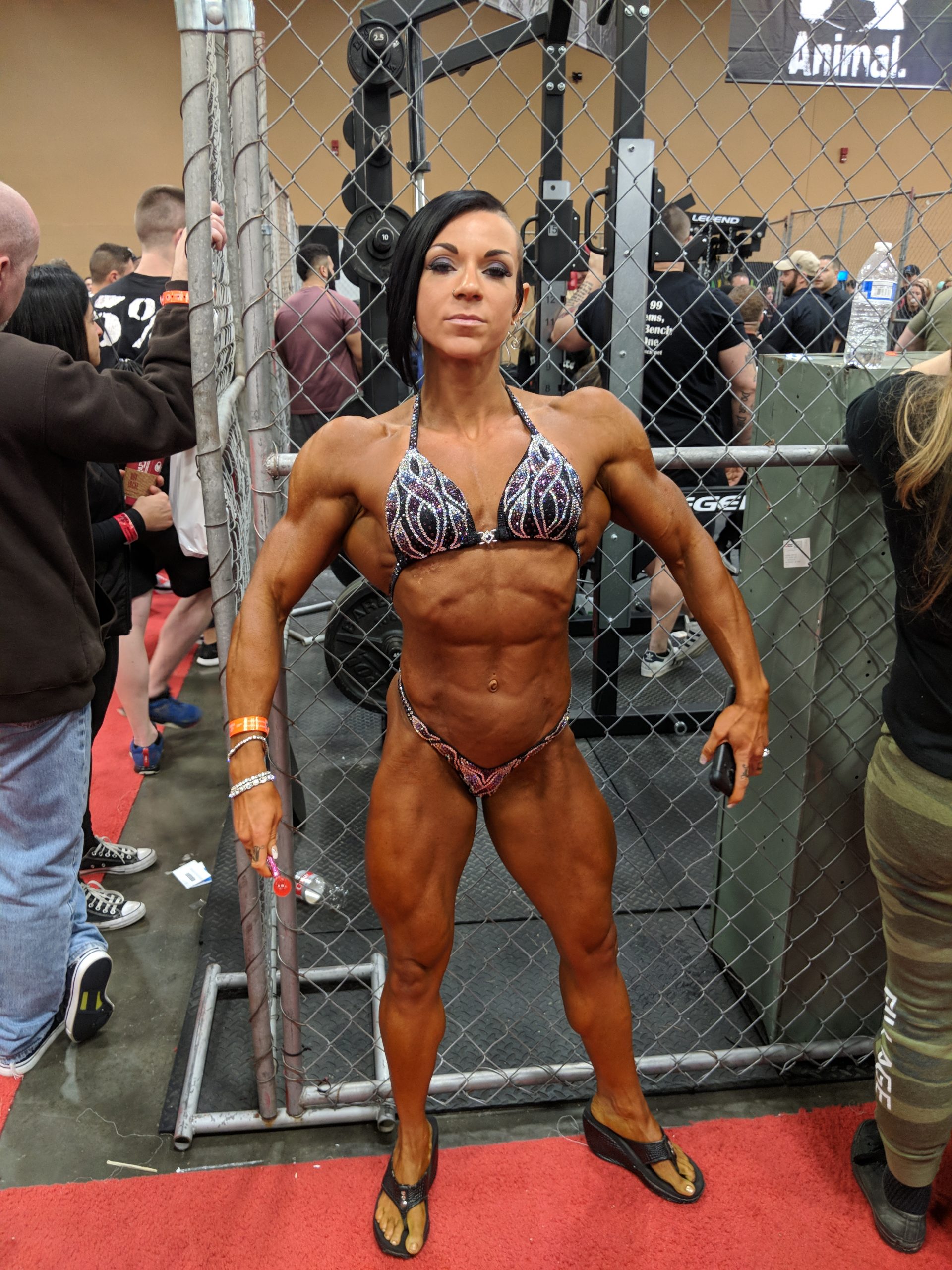 2018 Arnold Classic